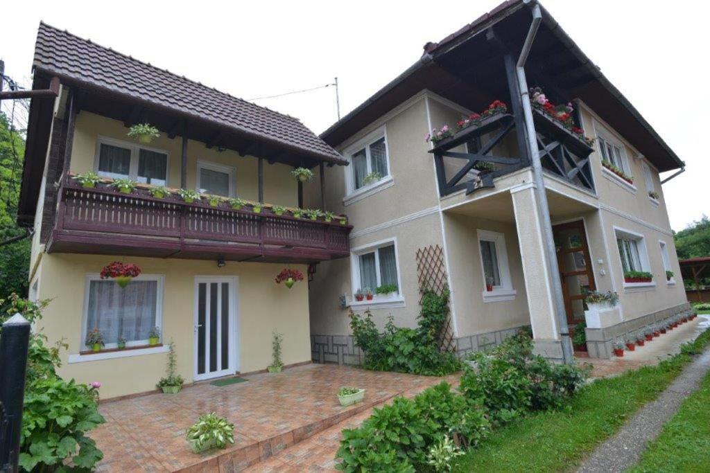 Casa Georgeta Casa de hóspedes Bran  Exterior foto